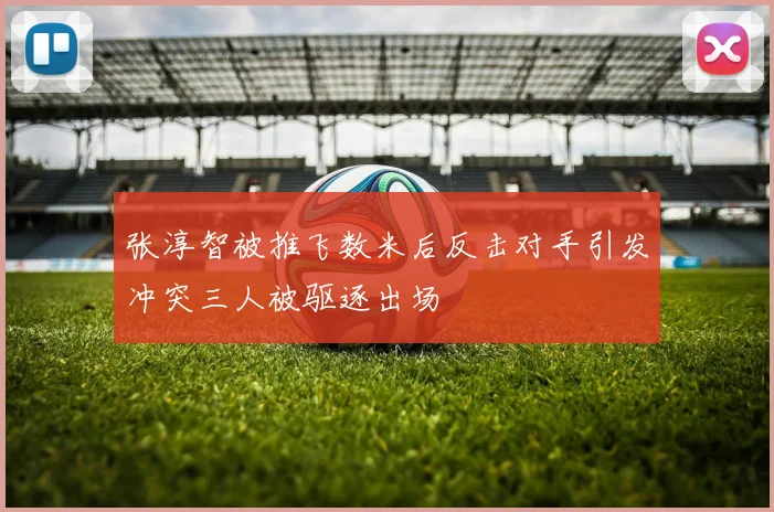 张淳智被推飞数米后反击对手引发冲突三人被驱逐出场