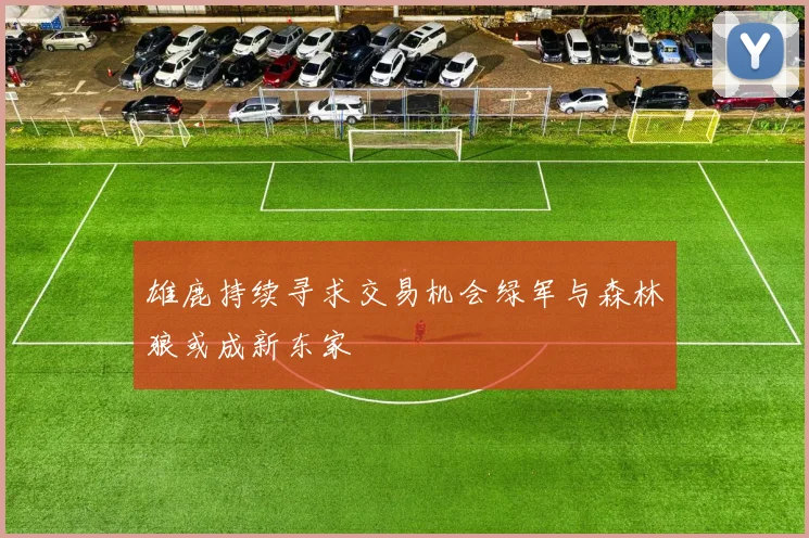 雄鹿持续寻求交易机会绿军与森林狼或成新东家